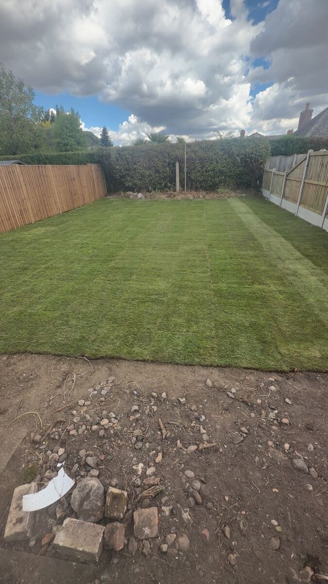 Freshly laid turf lawn, a recently completed Essex Trees and Turf project