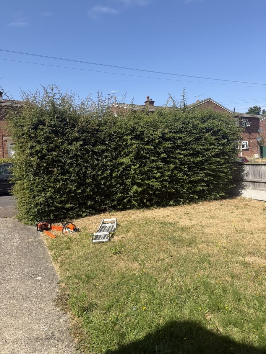 On-site hedge cutting equipment ready for a job